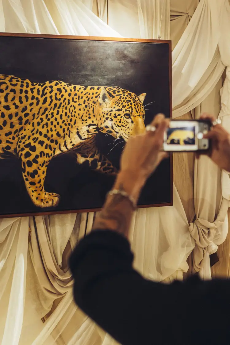 Person photographing a painting of a spotted leopard on a gallery wall draped with cream-colored fabric
