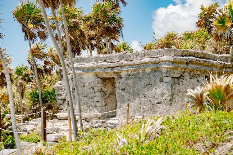 Stone ruins with a curved wall surrounded by palm trees and tropical vegetation under a clear sky Stone ruins with a curved wall surrounded by palm trees and tropical vegetation under a clear sky