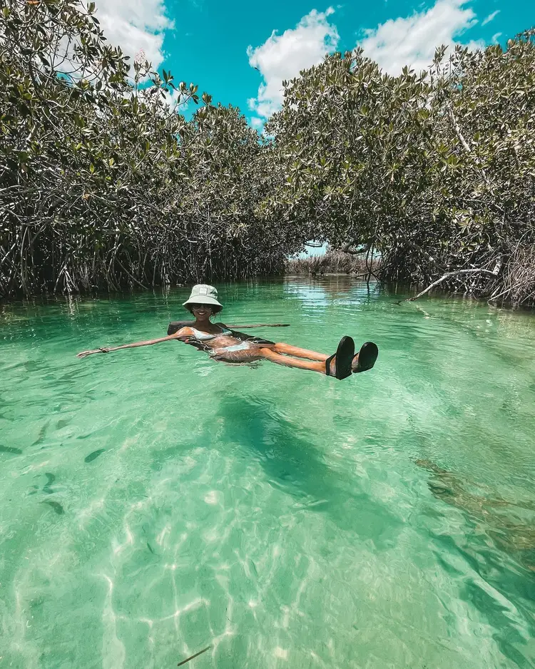 Person floating in shallow turquoise water surrounded by dense mangrove trees under a clear sky Person floating in shallow turquoise water surrounded by dense mangrove trees under a clear sky