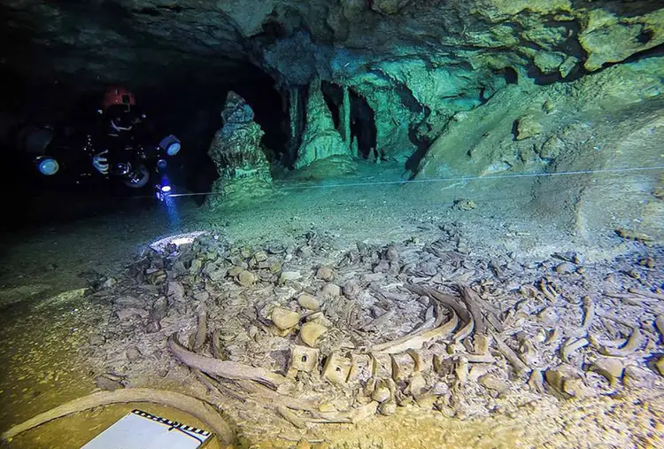 Scuba diver exploring an underwater cave with fossil bones and skeletal remains scattered on the sandy floor Scuba diver exploring an underwater cave with fossil bones and skeletal remains scattered on the sandy floor