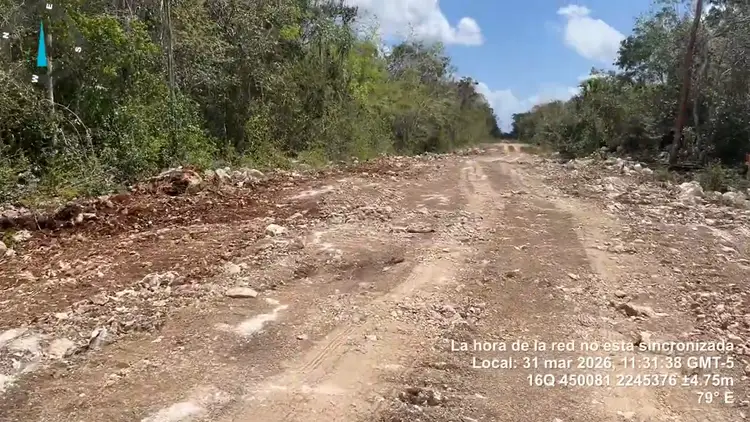 Unpaved dirt road with potholes cuts through dense tropical forest vegetation on both sides Unpaved dirt road with potholes cuts through dense tropical forest vegetation on both sides