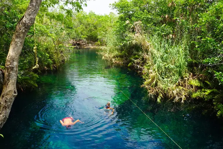 Two swimmers in a clear turquoise cenote surrounded by lush vegetation and overhanging trees Two swimmers in a clear turquoise cenote surrounded by lush vegetation and overhanging trees