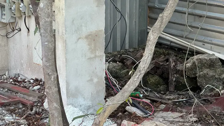 Exposed electrical wires and cables lie on the ground near deteriorating concrete structures and metal roofing in an overgrown outdoor area