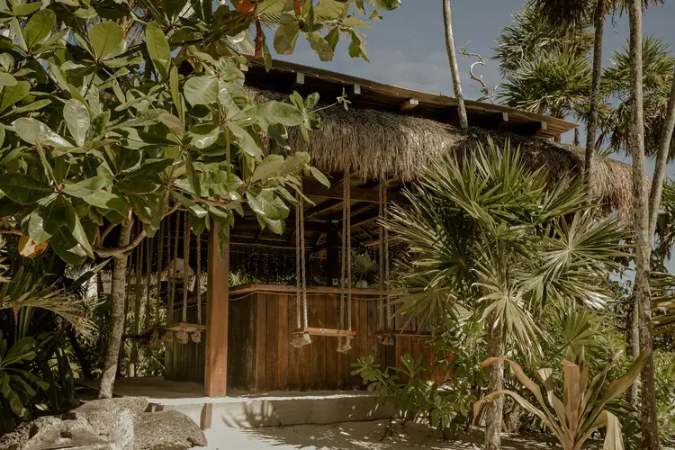 Wooden beachfront structure with thatched roof surrounded by tropical vegetation and palm trees Wooden beachfront structure with thatched roof surrounded by tropical vegetation and palm trees