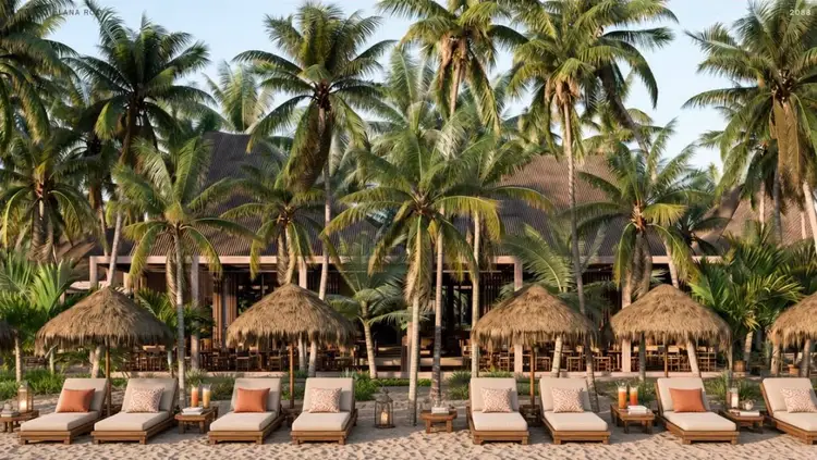 Beach lounge chairs with cushions arranged in rows beneath thatched umbrellas, with palm trees and resort buildings behind them UMusic Hotel and Beach Club Tulum, part of the Tulum Renace cultural alliance