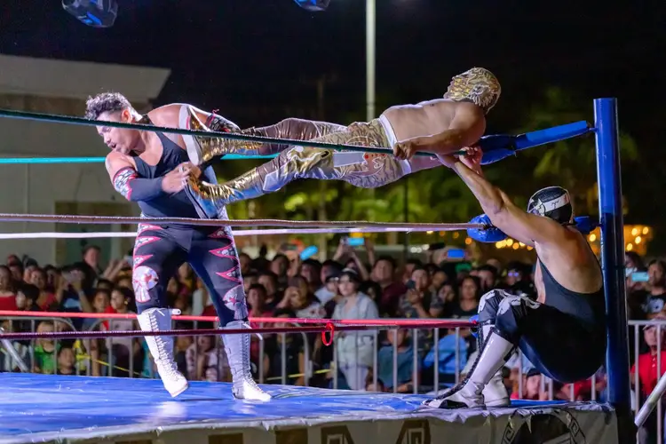 Two wrestlers perform in a ring during a nighttime match before a crowd of spectators behind barriers