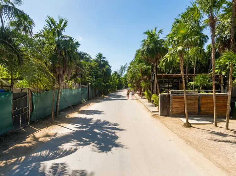 A sandy road lined with palm trees and wooden fences runs through a tropical settlement with a few people visible in the distance