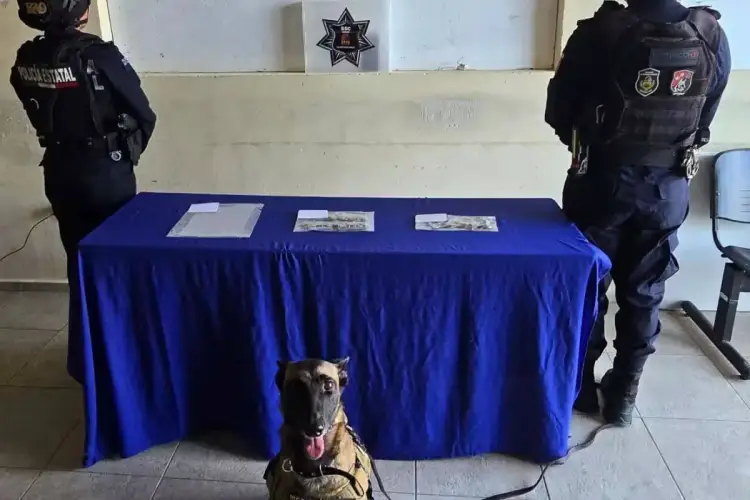 Police officers stand guard beside a blue-draped table with a working dog seated in front of it in an indoor facility Police officers stand guard beside a blue-draped table with a working dog seated in front of it in an indoor facility