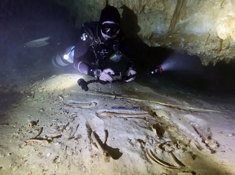 Scuba diver with headlamp examines ancient skeletal remains on the sandy floor of an underwater cave Scuba diver with headlamp examines ancient skeletal remains on the sandy floor of an underwater cave