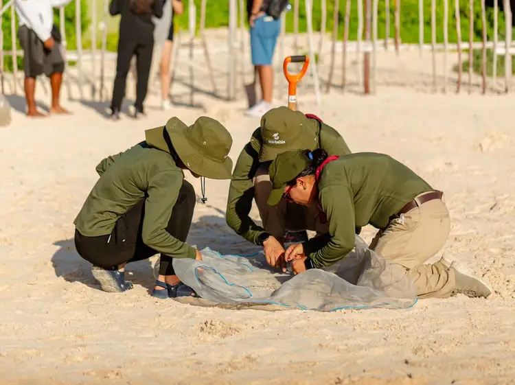 Cuatro personas con uniforme verde olivo revisan redes y desechos recolectados en la playa mientras curiosos observan detrás de una barrera