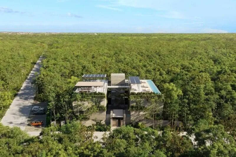 Modern concrete building with solar panels surrounded by dense forest and a cleared road with vehicles approaching through the trees