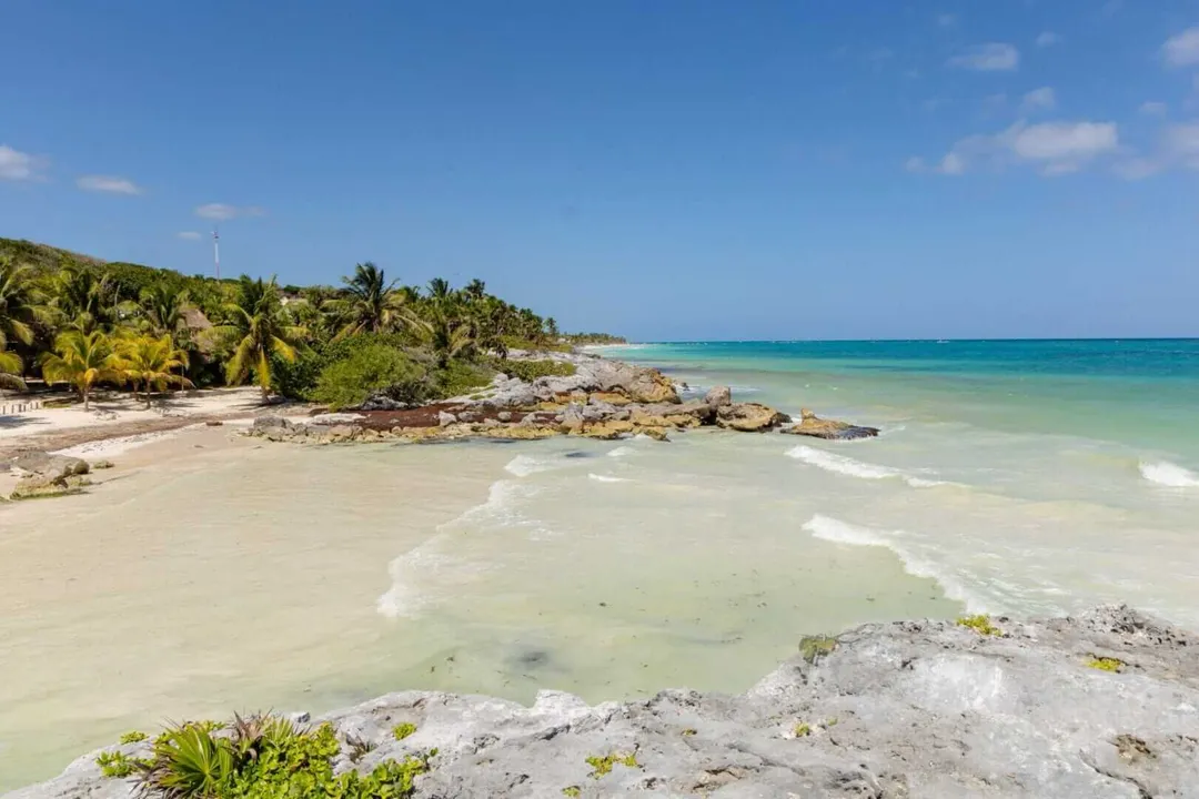 New Public Beach Access in Tulum Marks a Step Toward Greater Inclusion Sandy beach with turquoise water and palm trees lining the shore under clear blue sky