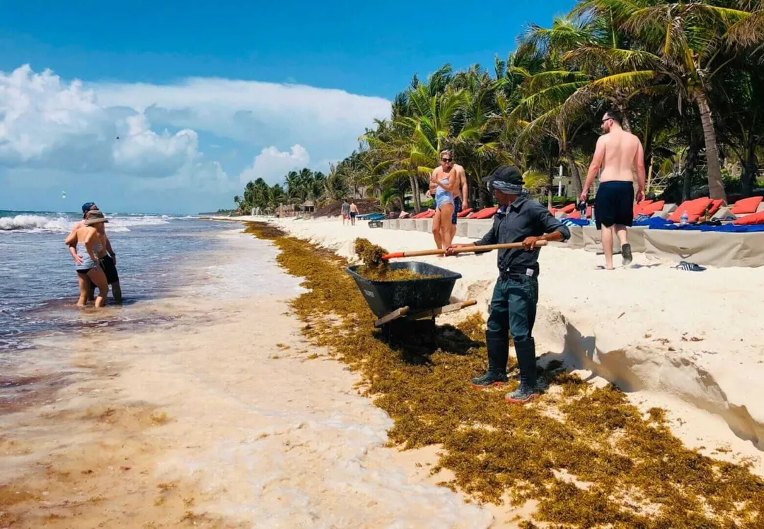 A person in dark clothing stands at the water's edge near a wooden barrier, with beachgoers and palm trees visible along a sandy shore