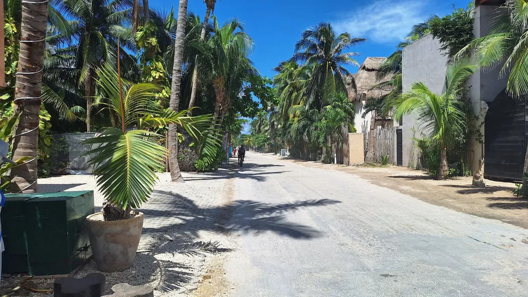 A sandy street lined with palm trees and weathered stone buildings stretches into the distance under blue sky