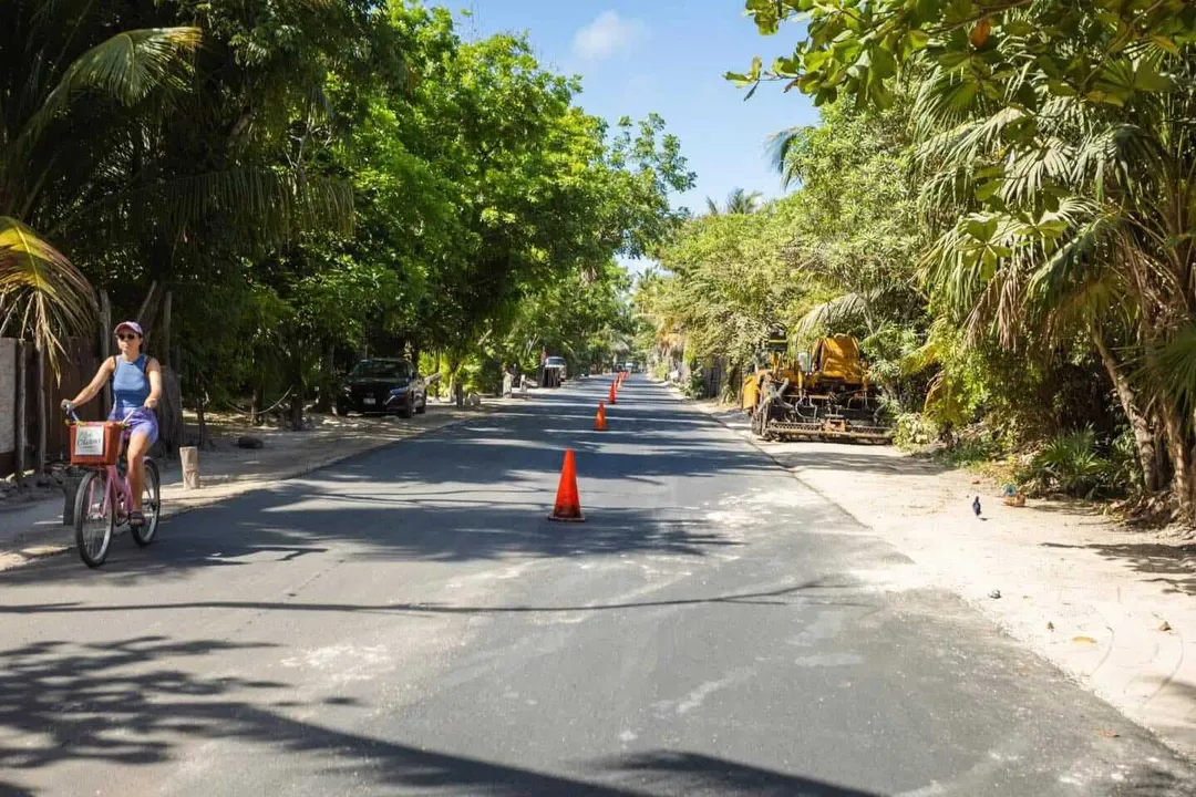 Steady Progress on Tulum Coastal Road Rehabilitation A woman rides a bicycle on a tree-lined road with traffic cones marking a construction zone