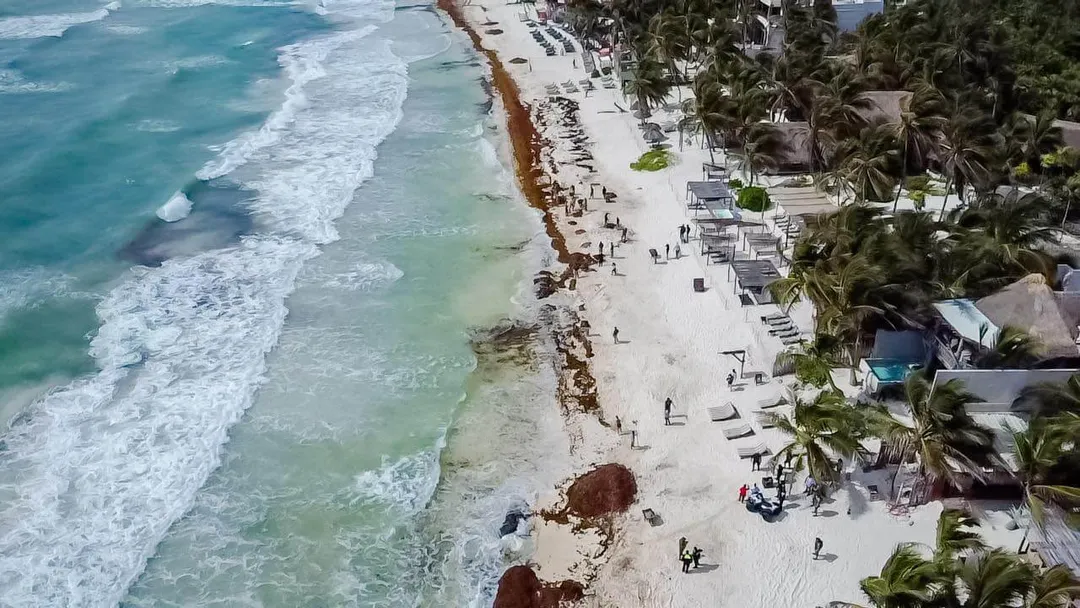 Urgent Plan Needed to Revive Tulum Tourism Aerial view of a beach with waves, sandy shore, beachgoers, palm trees, and coastal residential buildings