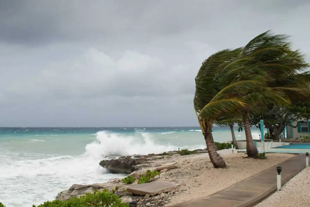 Palm trees bend in strong wind on a sandy beach with rough waves and a beachfront structure visible nearby under cloudy skies