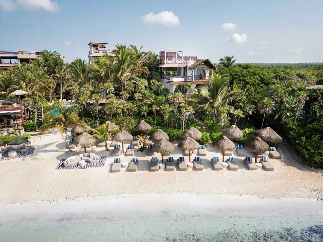 Beach resort with thatched palapas, lounge chairs, and palm trees overlooking shallow turquoise water and jungle vegetation