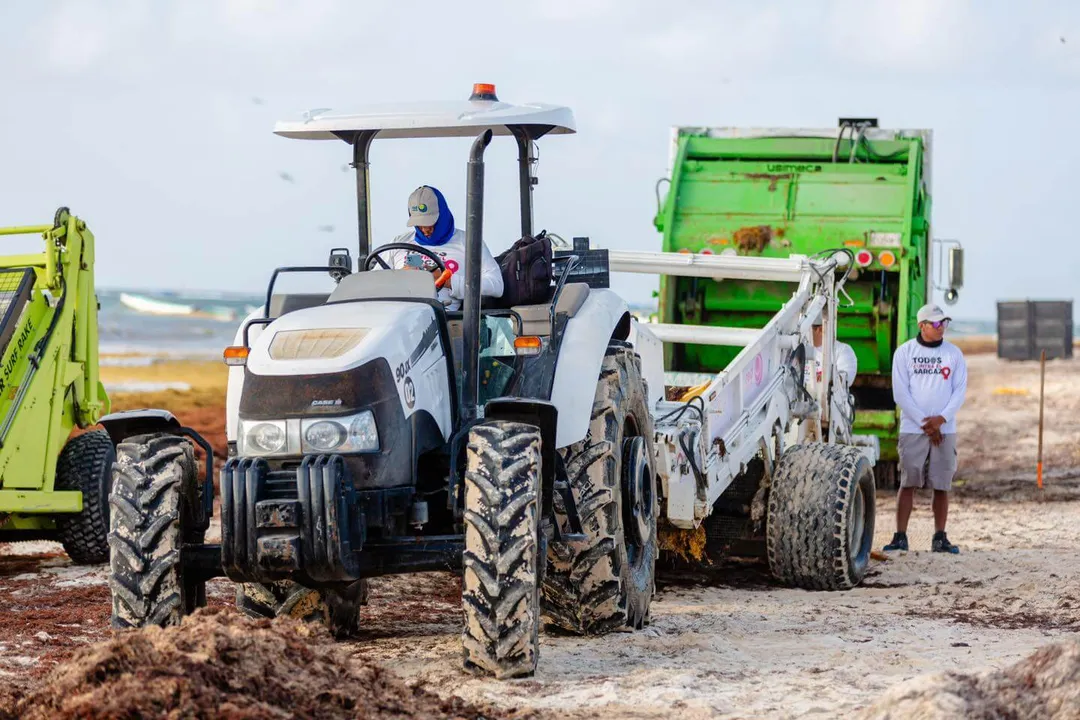 Inside Tulum’s War Against Record Sargassum Invasion A farmer operates a tractor equipped with a scoop to collect sargassum seaweed on a beach, with green collection equipment and workers nearby