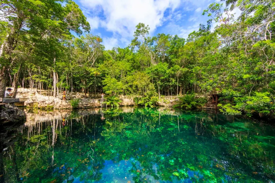 Emerald-green cenote surrounded by dense forest canopy reflecting in still water under blue sky
