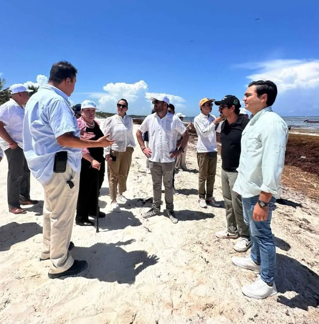 A group of officials and workers gather on a beach covered with brown seaweed, discussing environmental concerns under clear skies