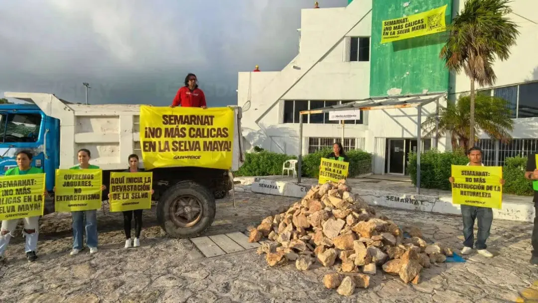 Environmental activists hold yellow protest signs and display logs outside a government building under stormy skies