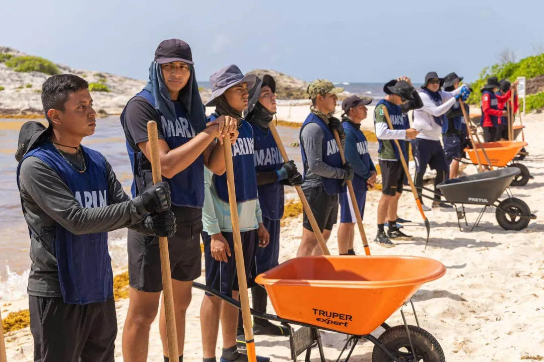 Group of volunteers wearing matching navy shirts hold shovels and push wheelbarrows while cleaning sargassum seaweed from a sandy beach