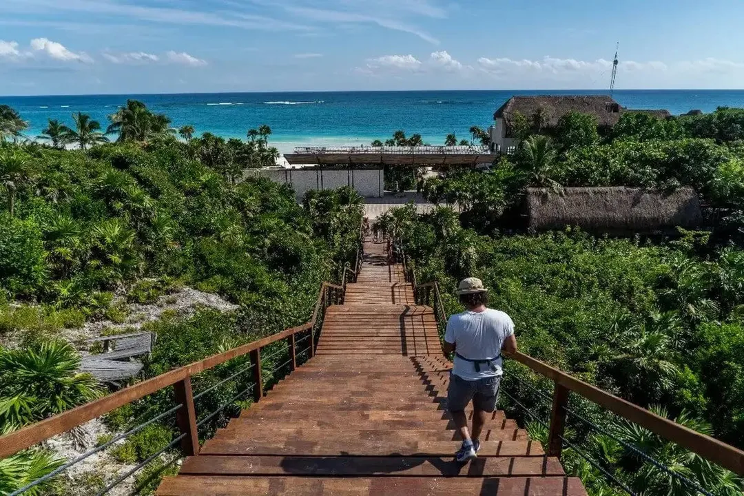 A runner jogs down a wooden boardwalk through tropical vegetation toward the ocean and a beachfront facility