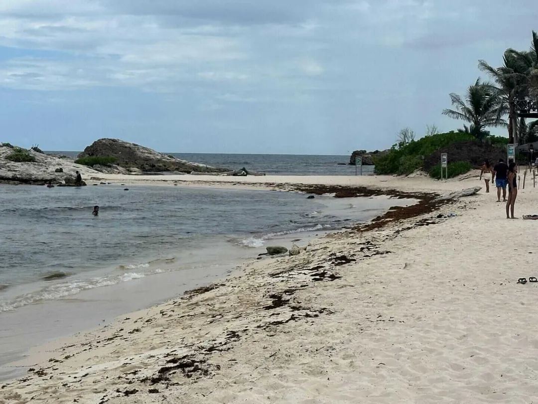 Beachgoers walk along a sandy shore with seaweed and debris lining the waterline, with palm trees and rocky outcrops visible in the distance