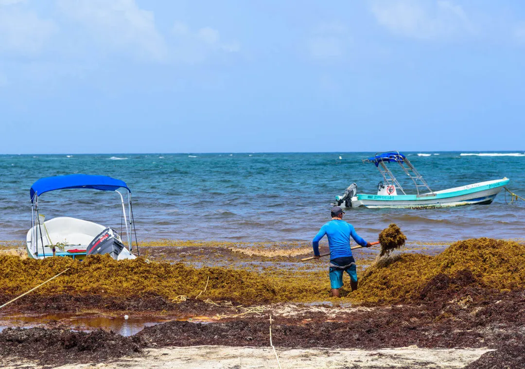 Person in blue wetsuit wading through seaweed-covered shallow water toward moored fishing boats under blue sky