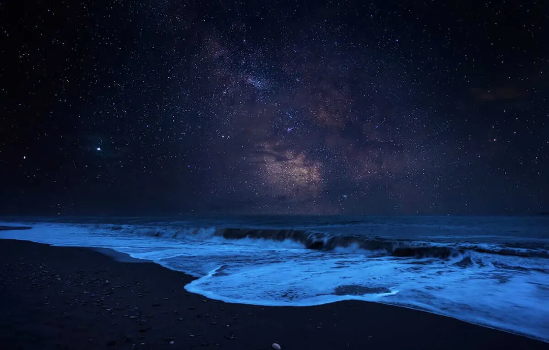 Waves roll onto a dark beach under a starry night sky with the Milky Way visible overhead
