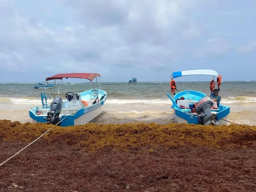 Tulum’s Fishermen Say Parque del Jaguar Is Sinking Their Livelihoods Two blue and white fishing boats with red canopies sit beached among seaweed on sandy shore with waves and cloudy sky behind them