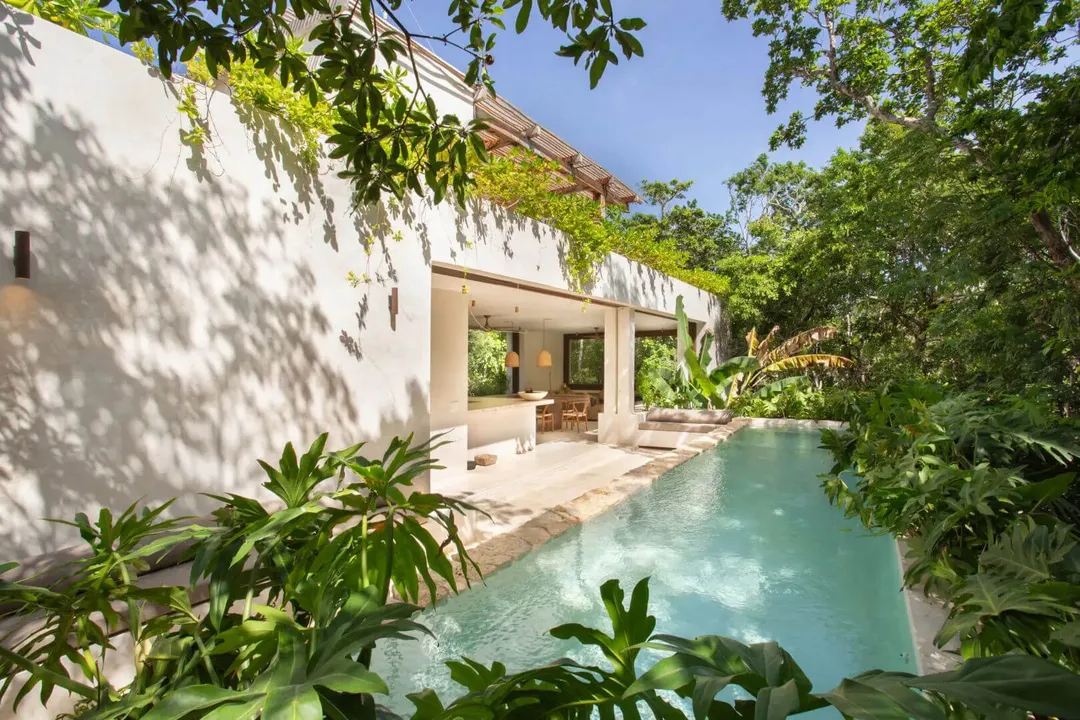 Modern white house with covered patio overlooking a narrow rectangular pool bordered by tropical plants and trees