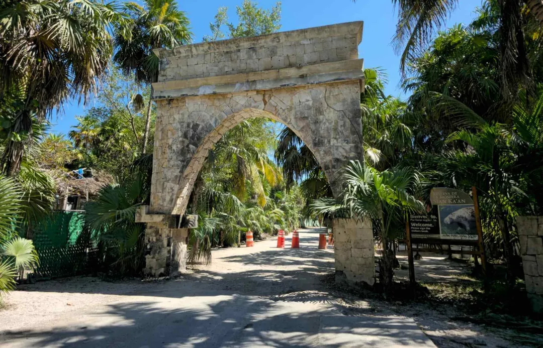 Stone archway with palm trees framing an entrance to a tropical garden path under clear blue sky