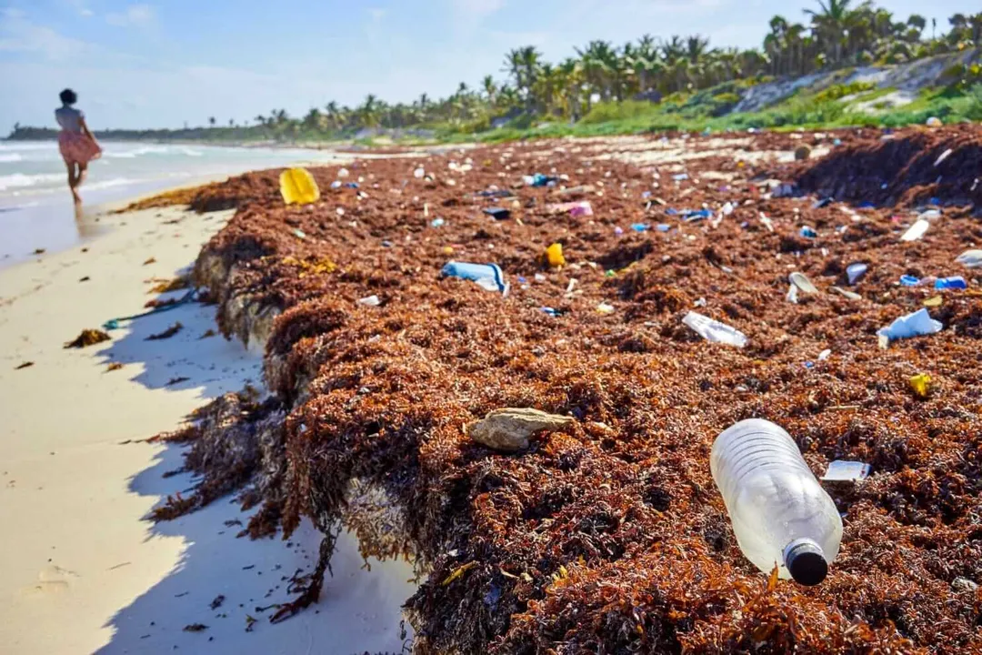 Person wading in shallow water near a beach covered with seaweed, plastic bottles, and other debris, with palm trees visible inland