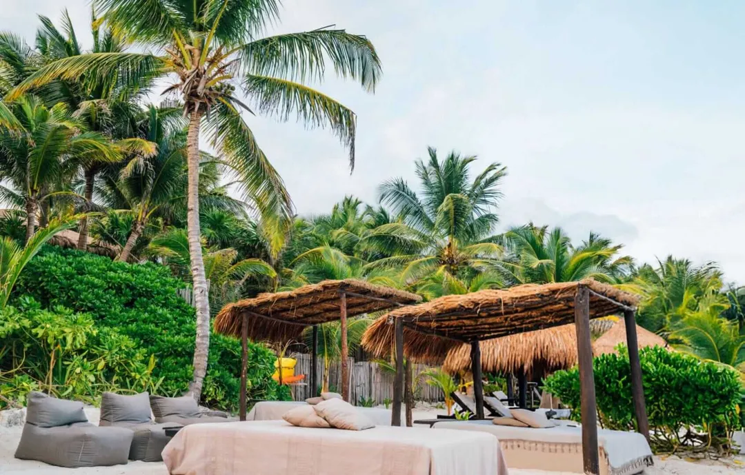 Beach lounge area with cushioned seating, thatched-roof shelters, and palm trees on sandy shore