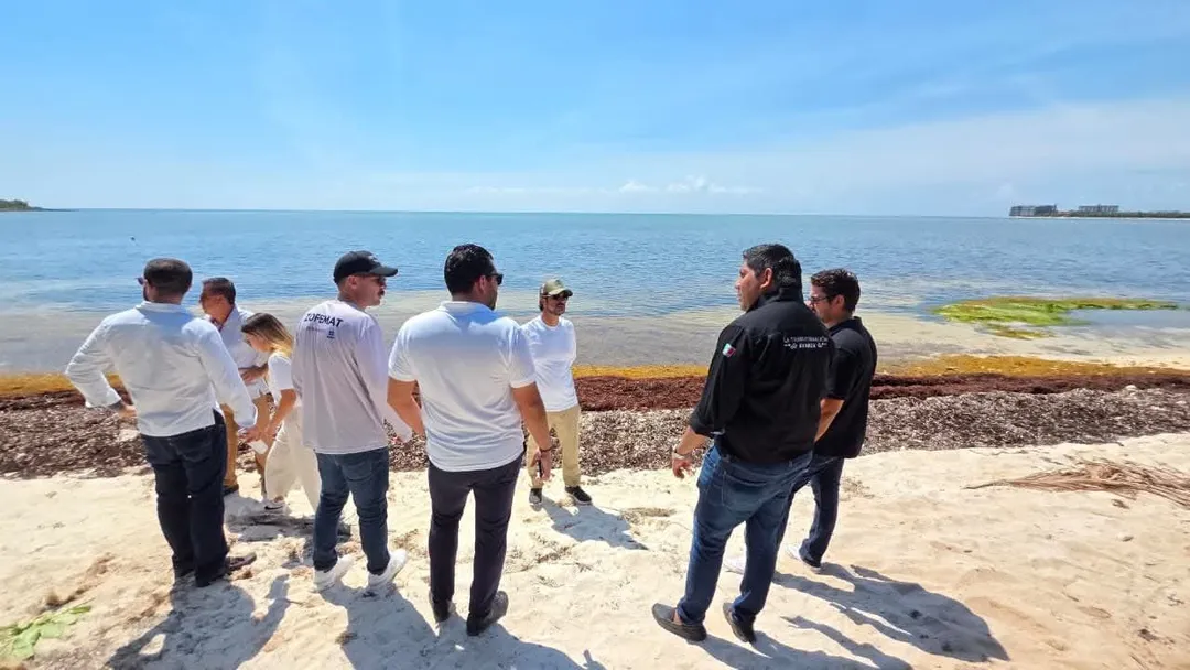 Tulum Beach Entrances Face Inspection Amid Access Concerns A group of people stand on a sandy beach facing the water during an apparent inspection or walkthrough
