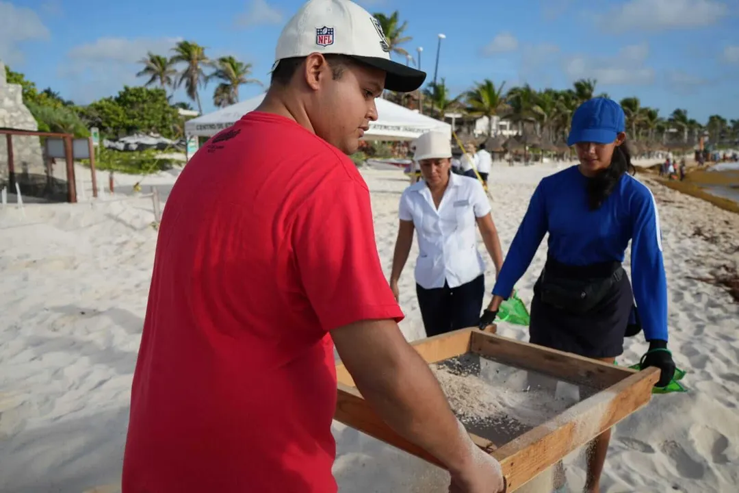 Man in red shirt and white hard hat sifts through sand in a wooden tray while two others watch during a beach cleanup, with palm trees and beachgoers visible in