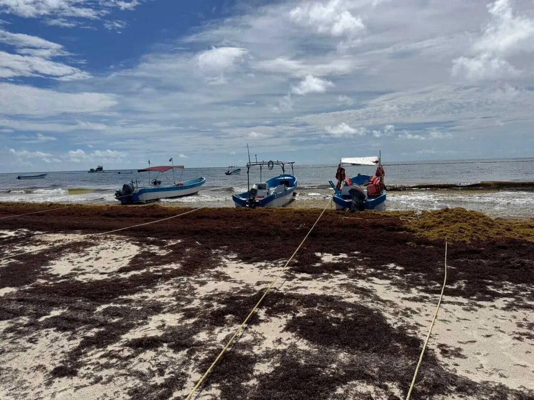 Tulum lancheros struggle as new beach access fees drive away tourists Fishing boats anchored in shallow water along a beach covered with seaweed and debris