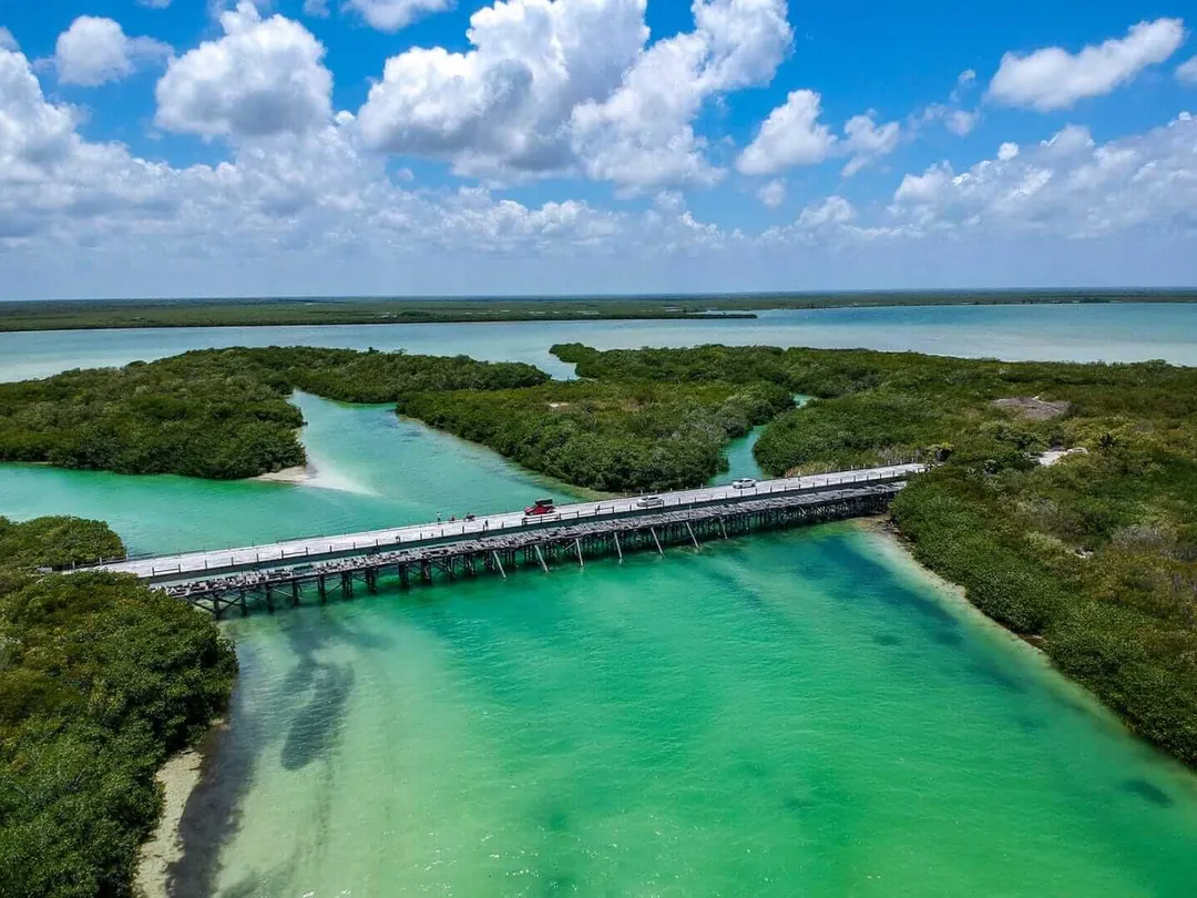 A long wooden boardwalk crosses turquoise water through dense green mangrove forest under a blue sky with white clouds