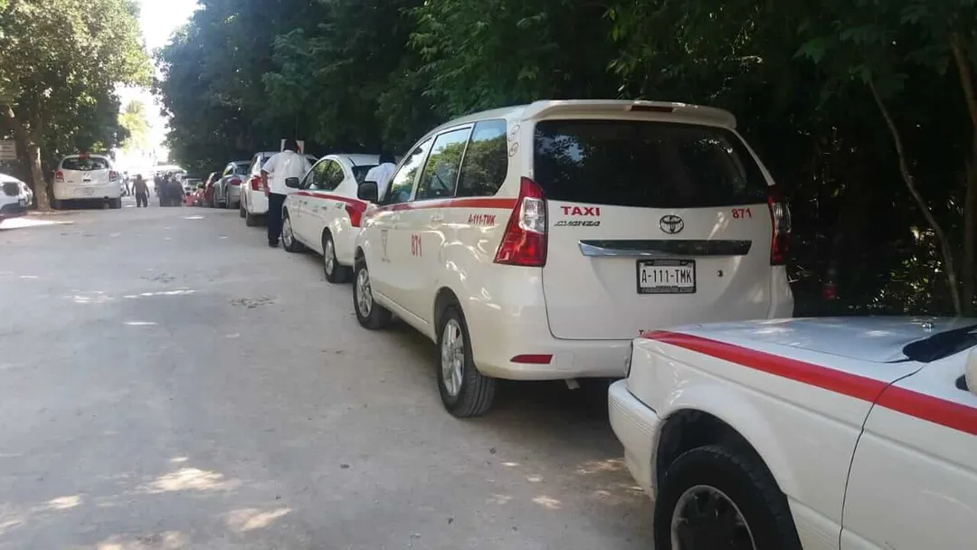 White and red taxi vehicles lined up on a tree-shaded street with pedestrians visible in the background