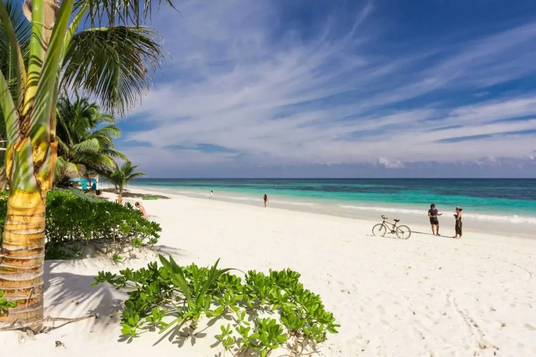 People gather on a sandy beach lined with palm trees and tropical vegetation, with turquoise water and blue sky in the background