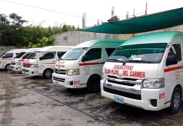 Row of white vans with red striping parked under a green canopy at a transit facility