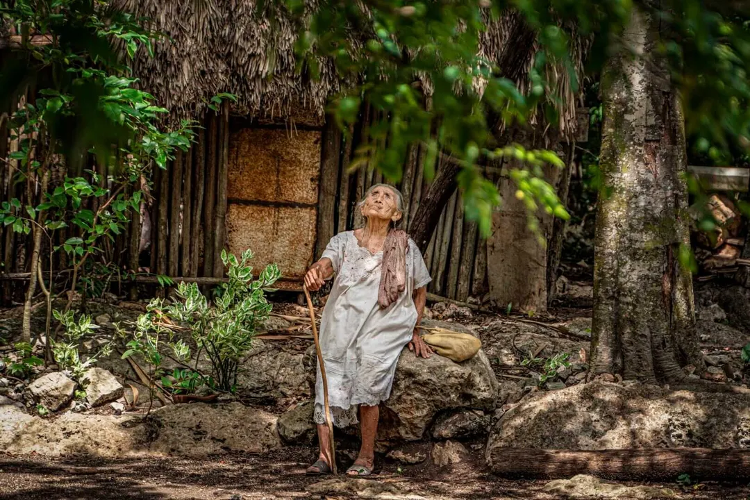 An older woman stands in a shaded outdoor area among palm trees and vegetation, looking upward near a thatched-roof structure