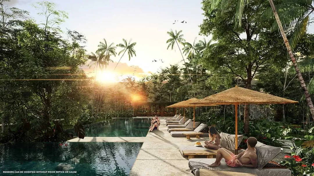 People relax on lounge chairs beneath umbrellas beside a pool surrounded by tropical vegetation and palm trees at sunset