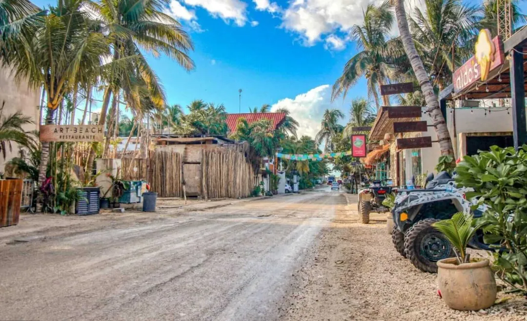 Unpaved street lined with palm trees and rustic wooden buildings in a tropical setting under blue sky