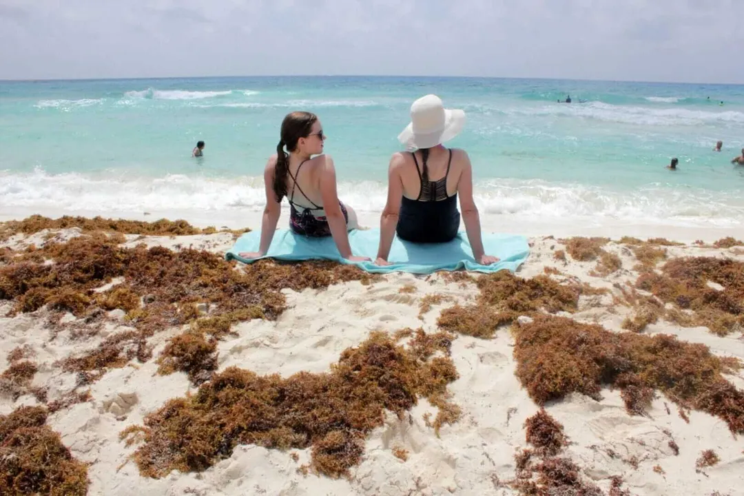 Two women sit on a beach towel amid brown seaweed, facing the ocean with swimmers visible in the turquoise water beyond