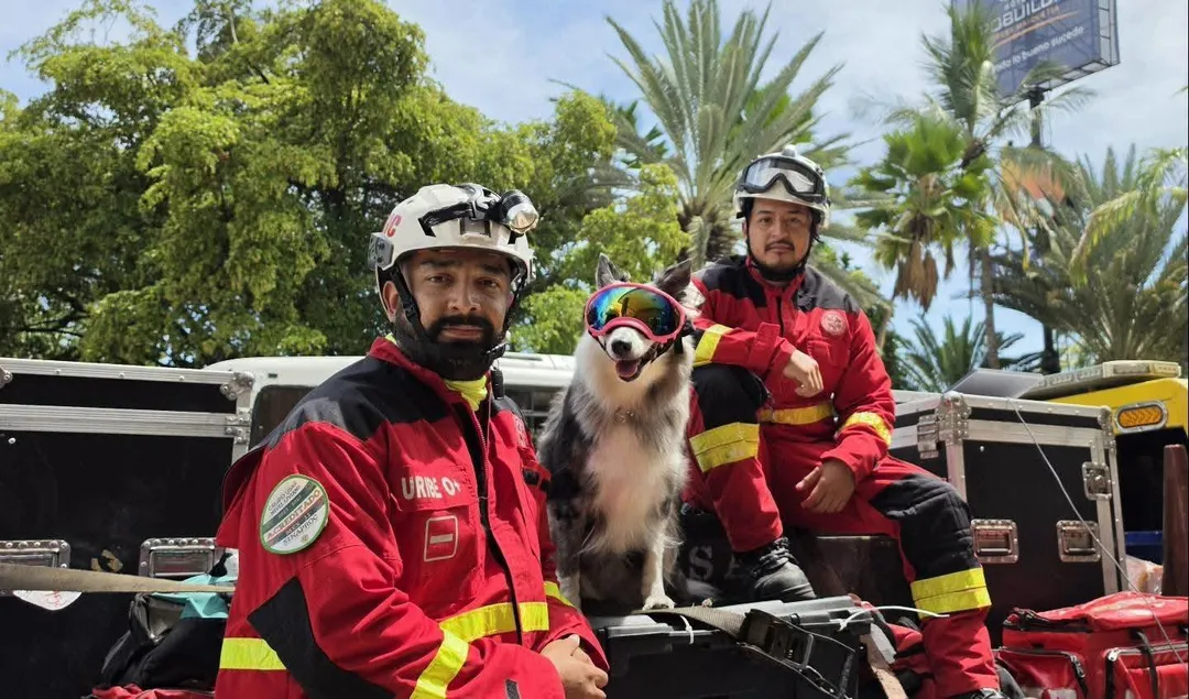 Two rescue workers in red jackets and white helmets pose with a dog wearing protective goggles on the back of a rescue vehicle, with palm trees in the backgroun