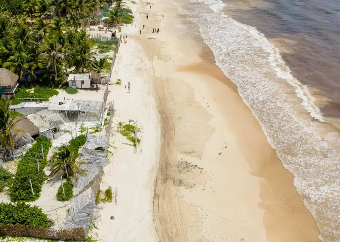 Aerial view of a sandy beach with waves rolling in, bordered by palm trees and beachfront buildings on the left shore