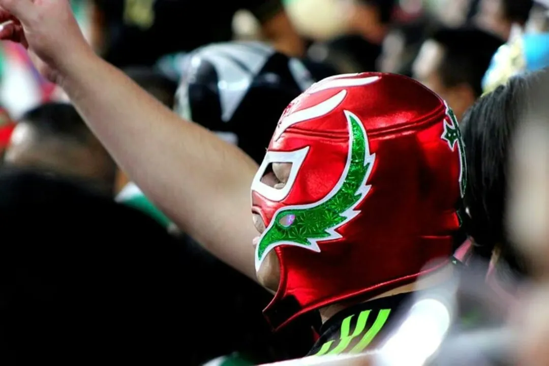 Person wearing a red and green wrestling mask with arm raised among a crowd